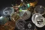 Imagem mostra dezenas de moedas ilustrativas das criptos.